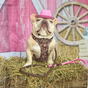 4ft Rope Lead - Brown + Pink