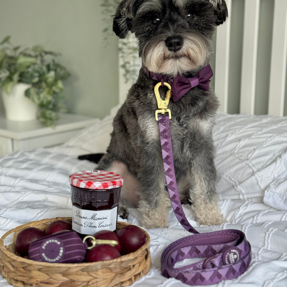 Lead - Walkies Ready® Plum