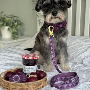 Lead - Walkies Ready® Plum