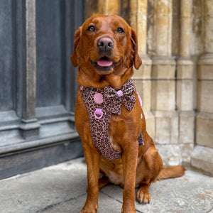 Sailor Bow - Leopard Print