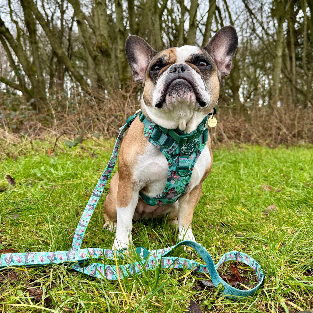 Disney© Disney©Lead - Jungle Book