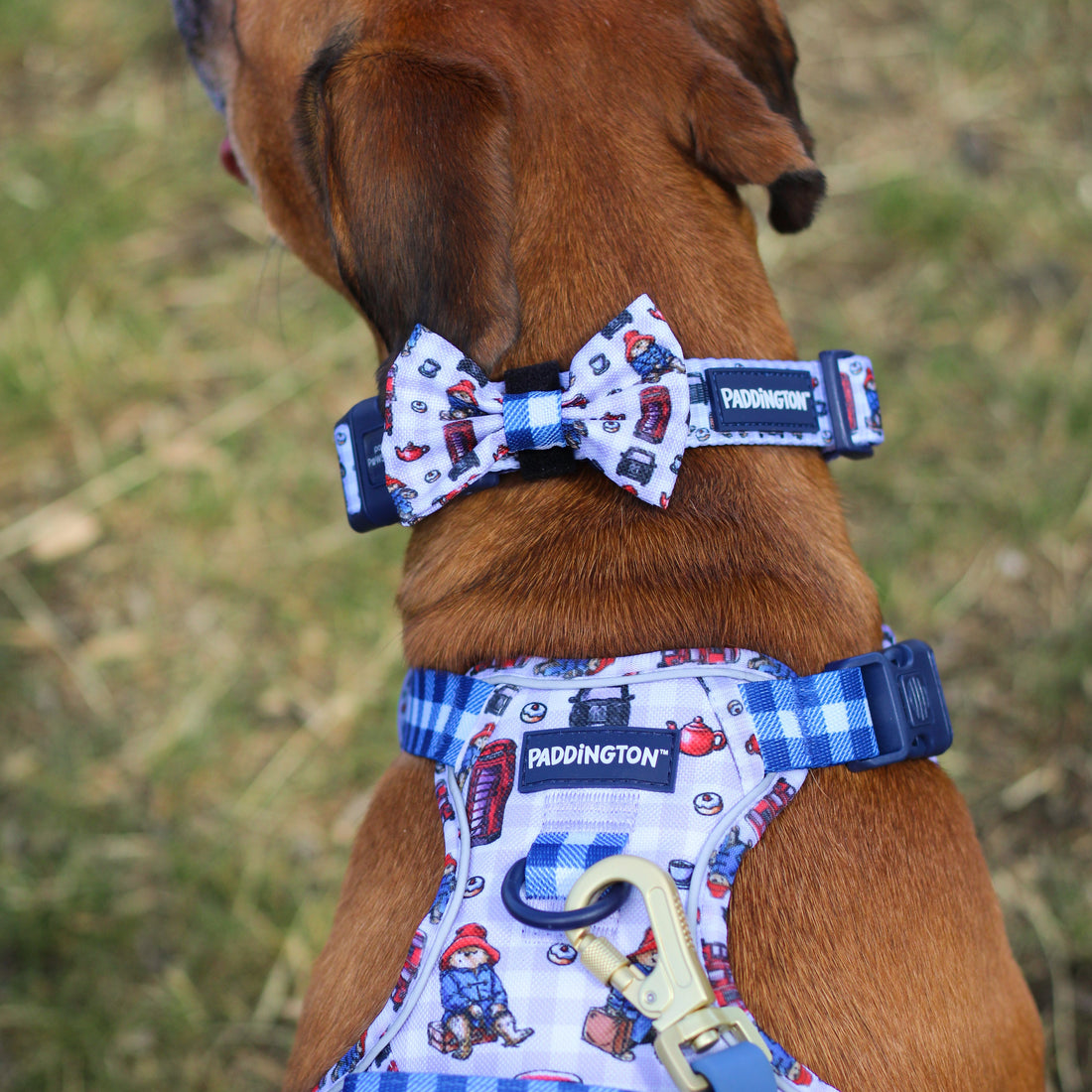 Paddington™ Bow Tie - London