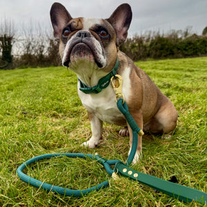 Disney© 4ft Rope Lead - Jungle Book