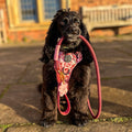 Pawsome Poop Pocket - Chilli Dog Flower