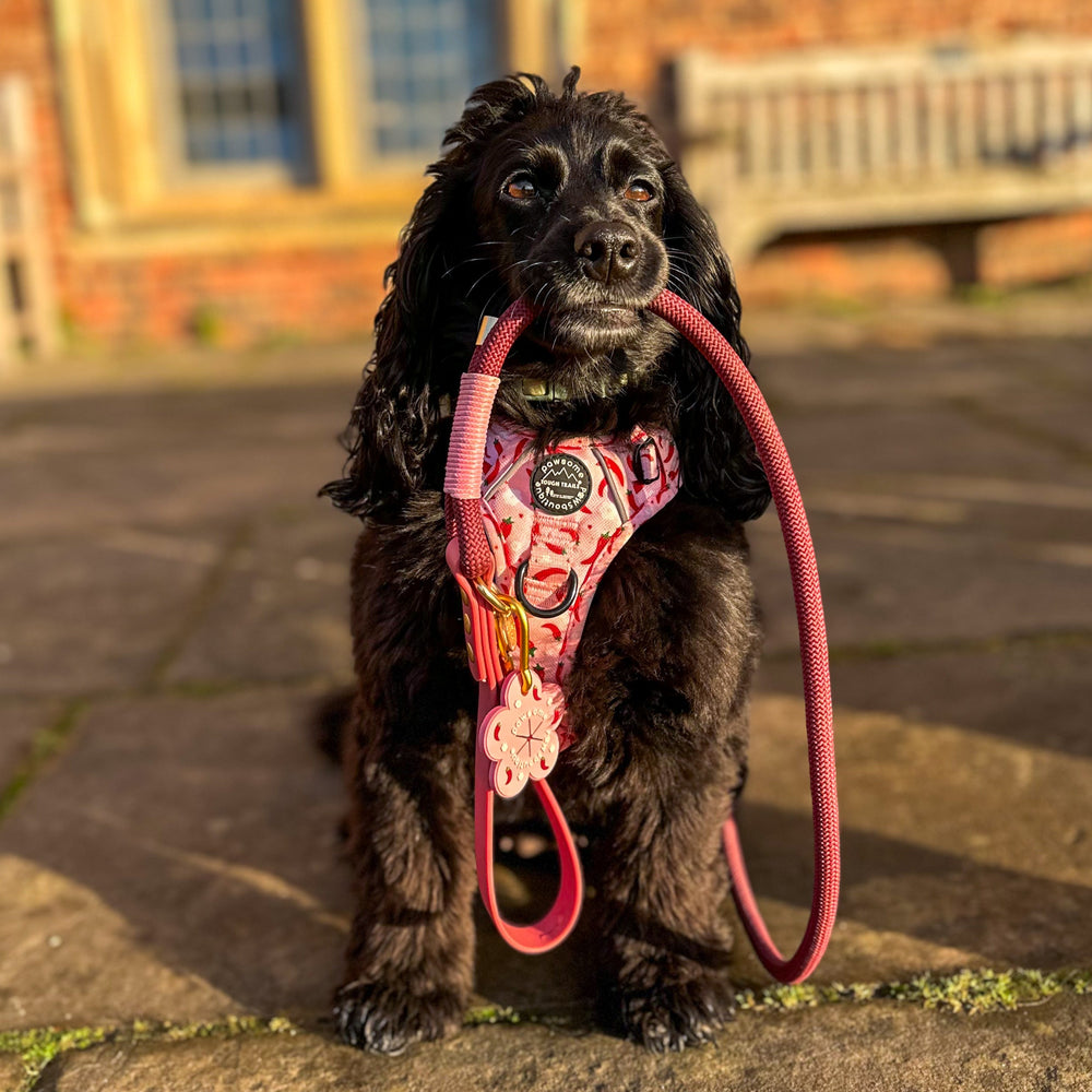 Pawsome Poop Pocket - Chilli Dog Flower