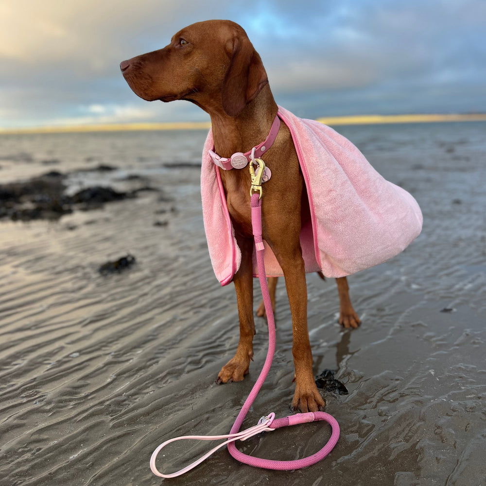 Disney© 4ft Rope Lead - Piglet - Pink