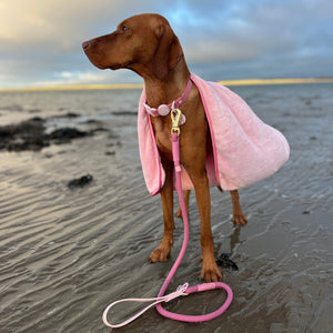 Disney© 4ft Rope Lead - Piglet - Pink