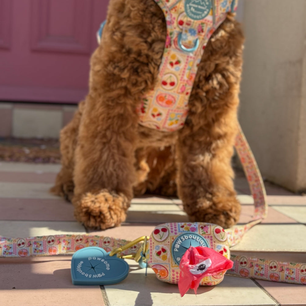 Poo Bag Holder - Summer Vacay