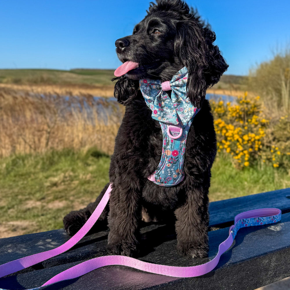 Lead - Whimsical Wildflowers