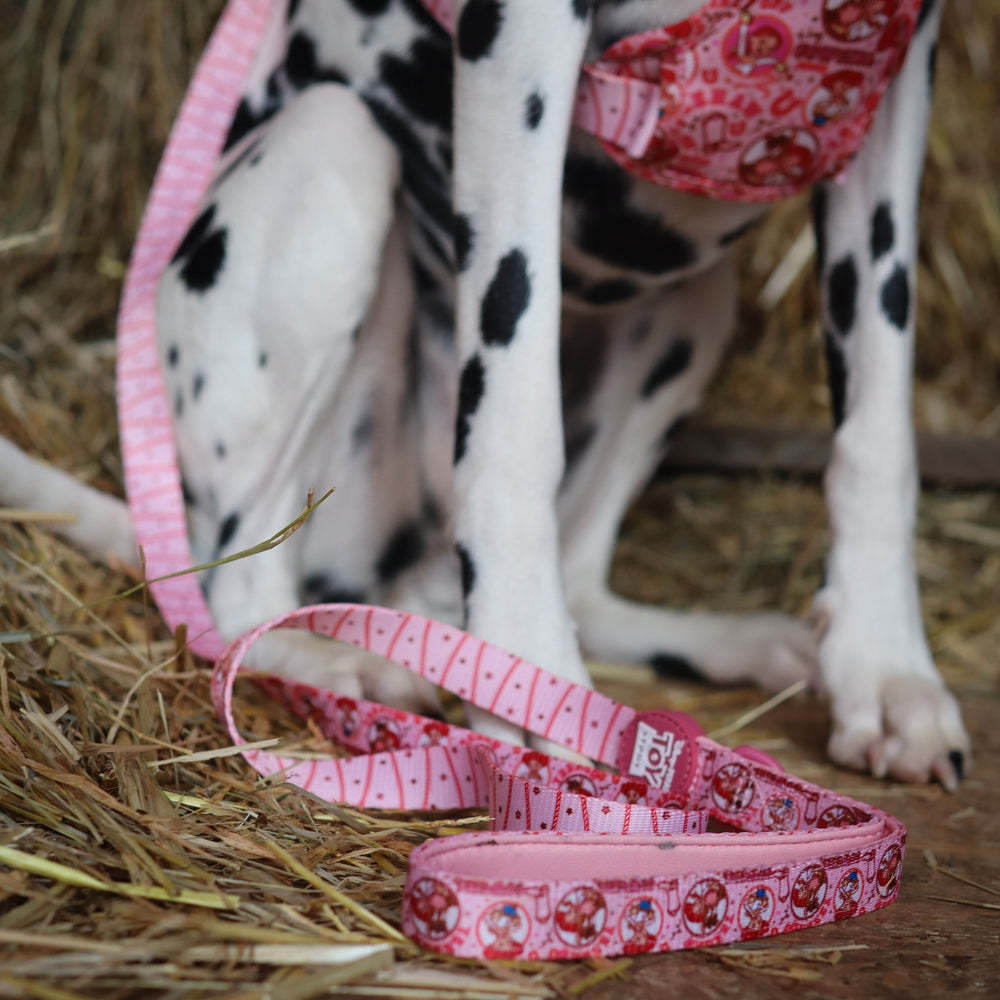 Disney© Lead - Jessie