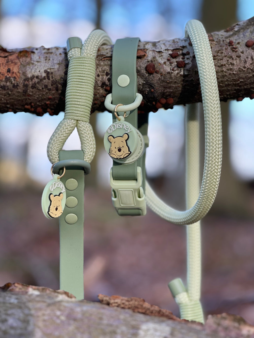 Disney© 4ft Rope Lead - 100 Aker Wood - Light and Dark Green