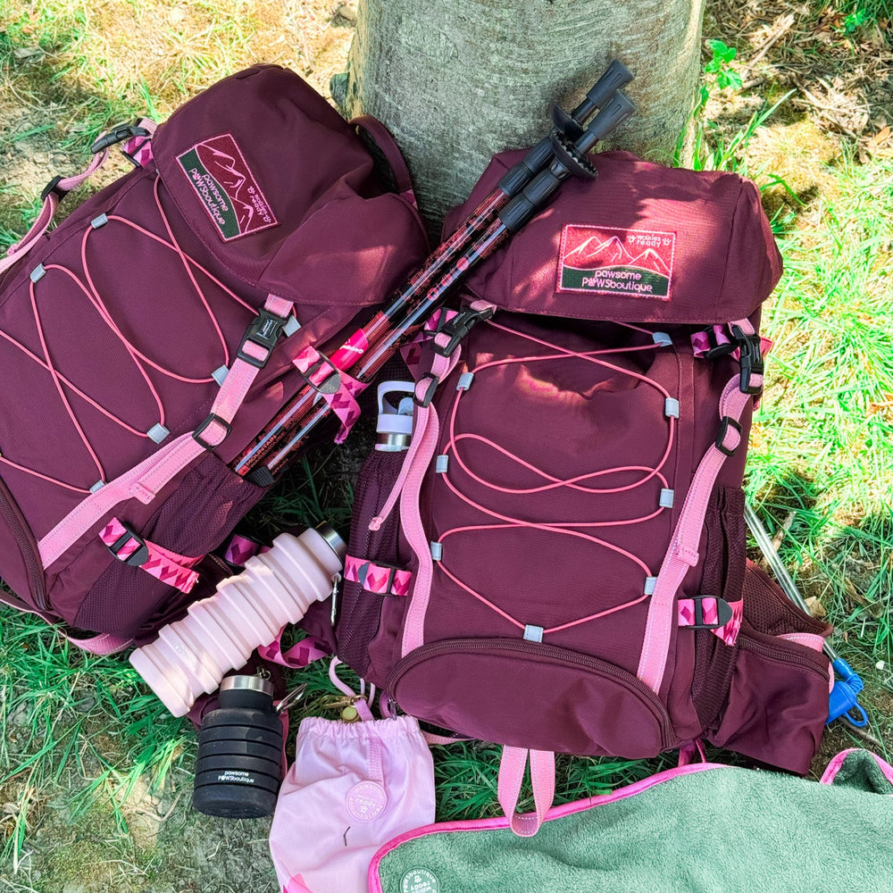 Walkies Ready® Hiking Backpack