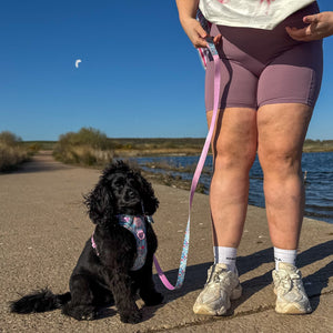 Lead - Whimsical Wildflowers