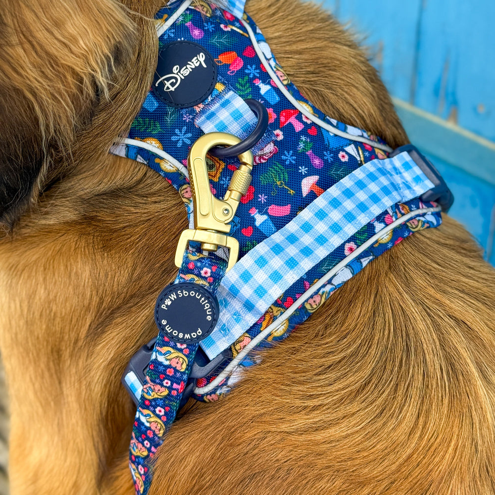 Disney© Lead - Alice In Wonderland