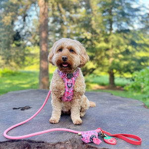 4ft Rope Lead - Red + Pink