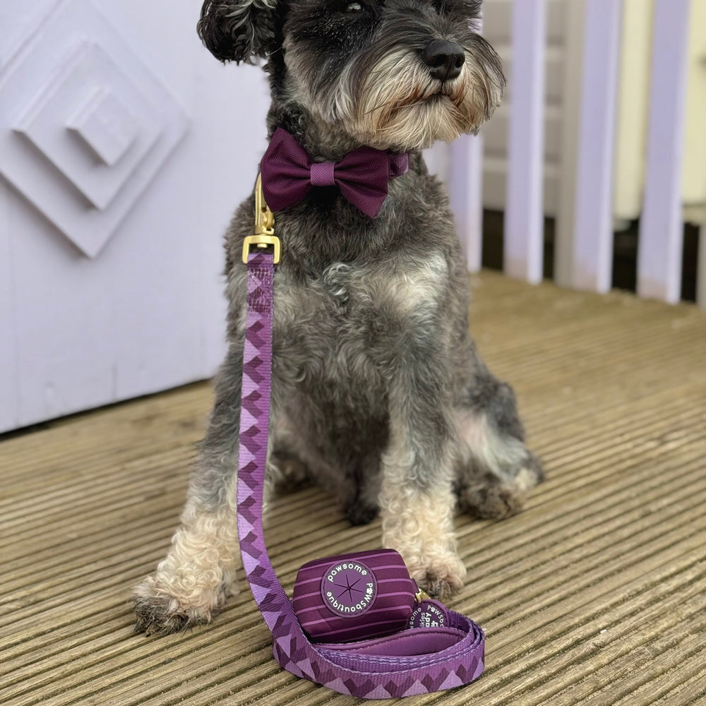 Poo Bag Holder - Walkies Ready® Plum
