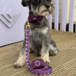 Poo Bag Holder - Walkies Ready® Plum