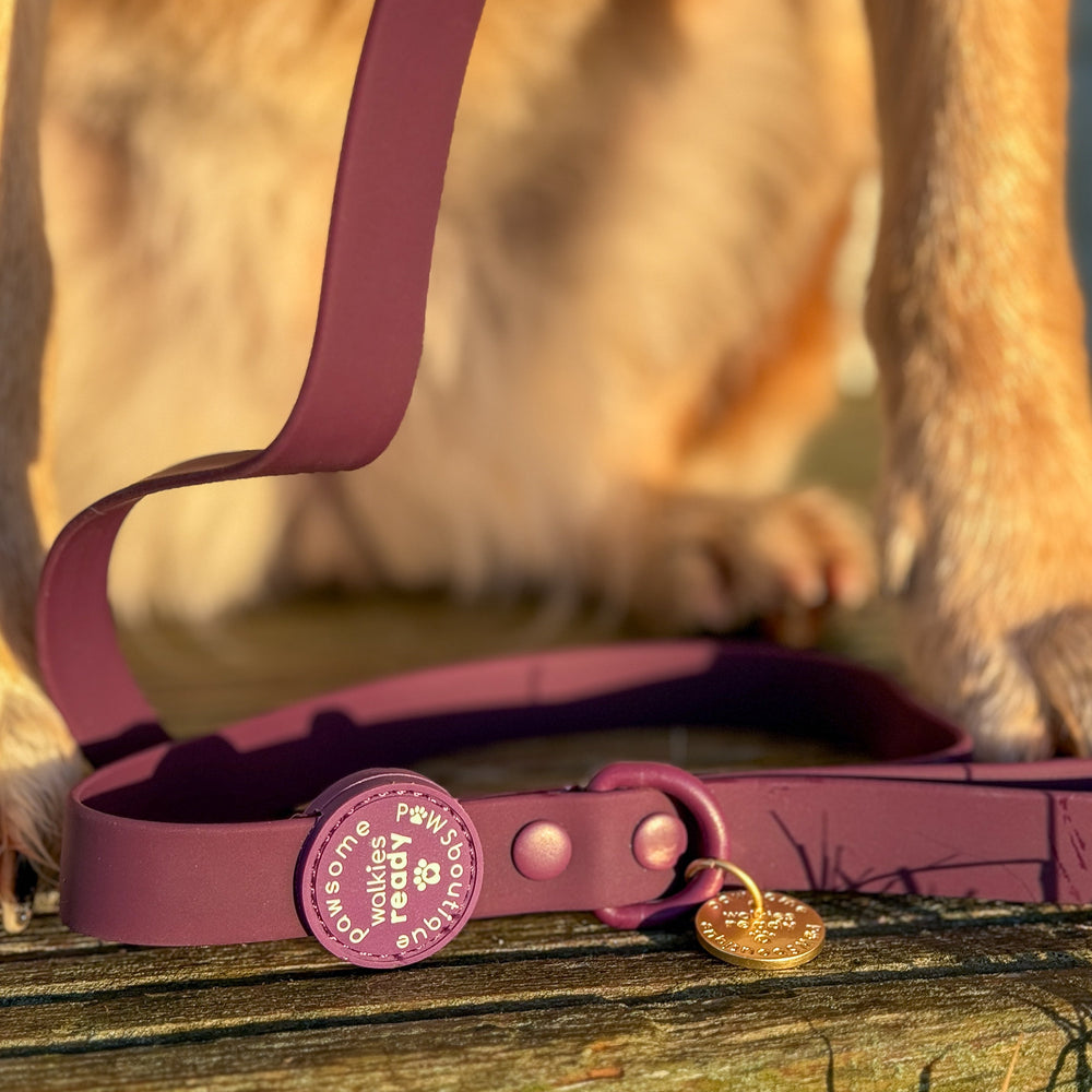 4ft Waterproof Lead - Walkies Ready® Plum