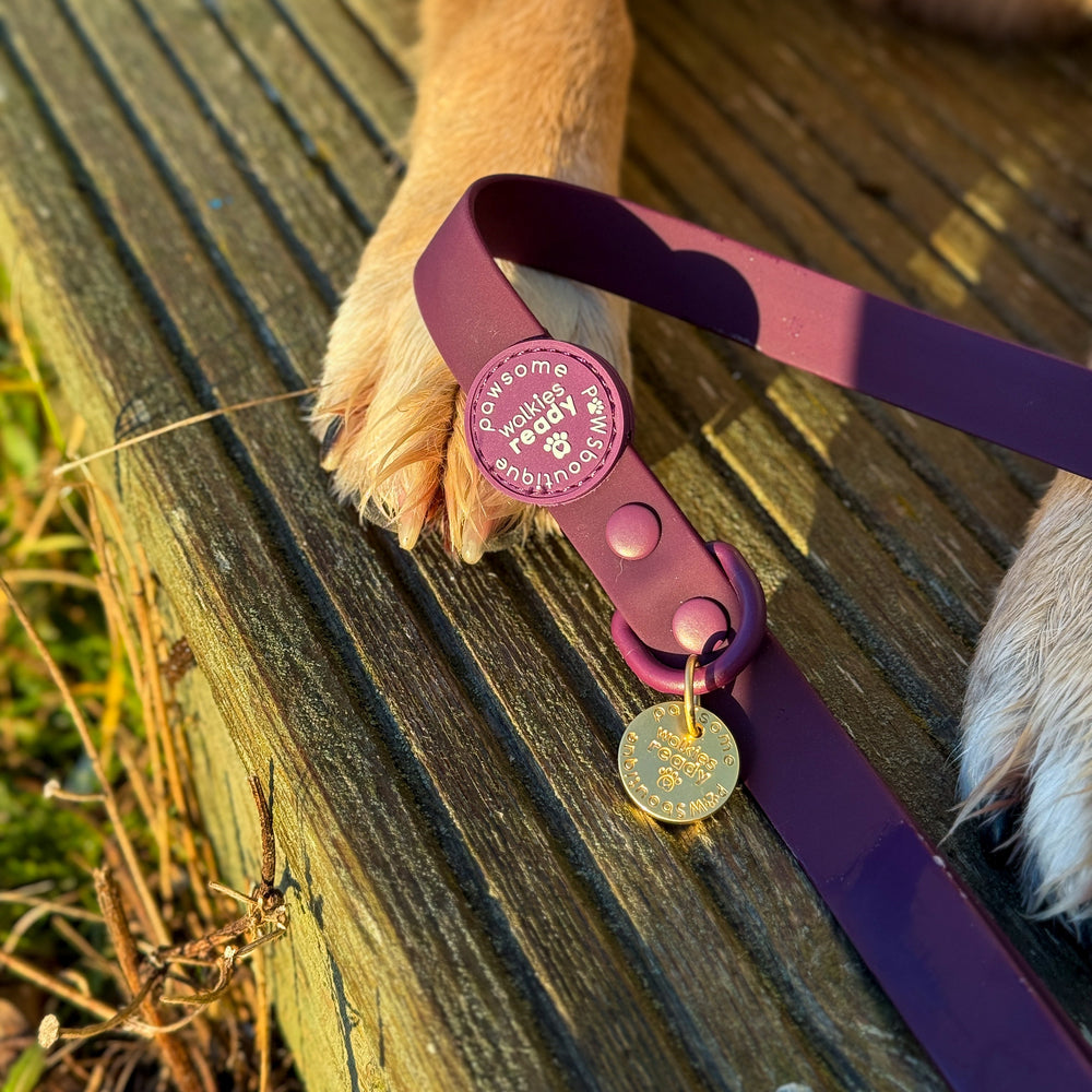 4ft Waterproof Lead - Walkies Ready® Plum