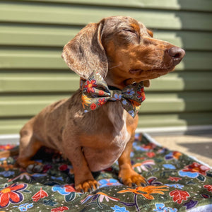 Bow Tie - Rust & Bloom
