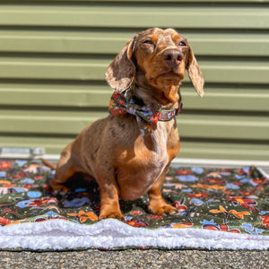 Dog Blanket - Rust & Bloom