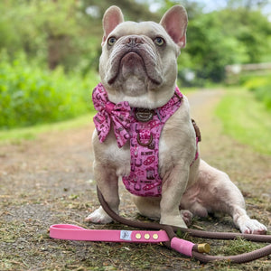4ft Rope Lead - Brown + Pink