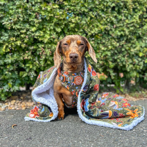 Dog Blanket - Rust & Bloom