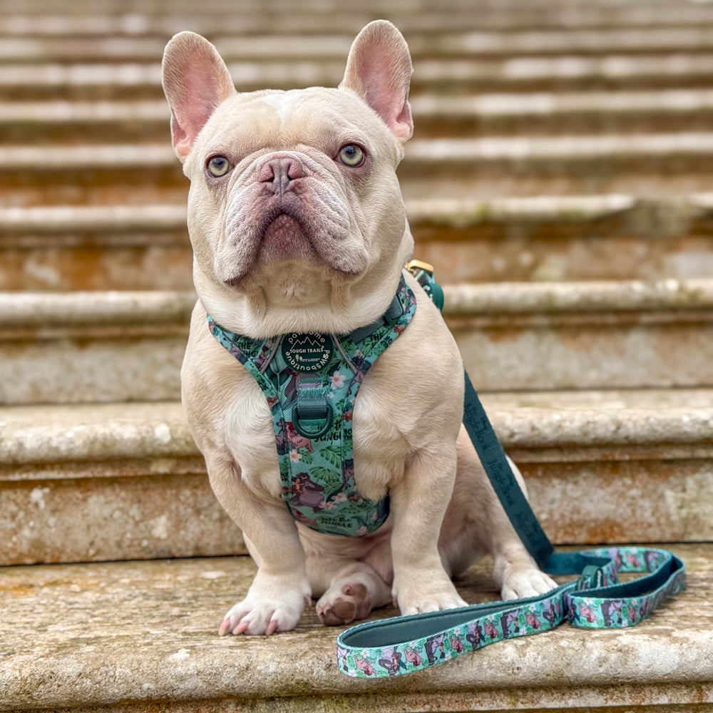 Disney© Disney©Lead - Jungle Book