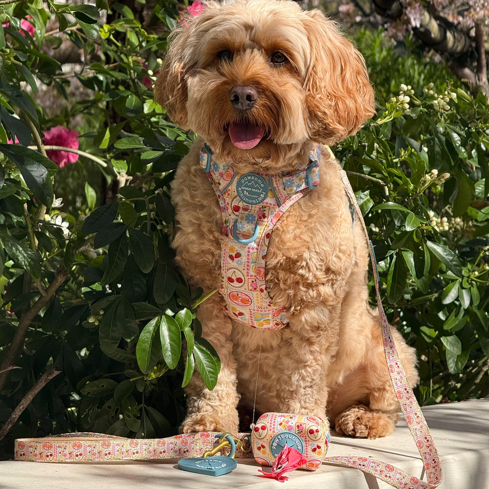 Poo Bag Holder - Summer Vacay