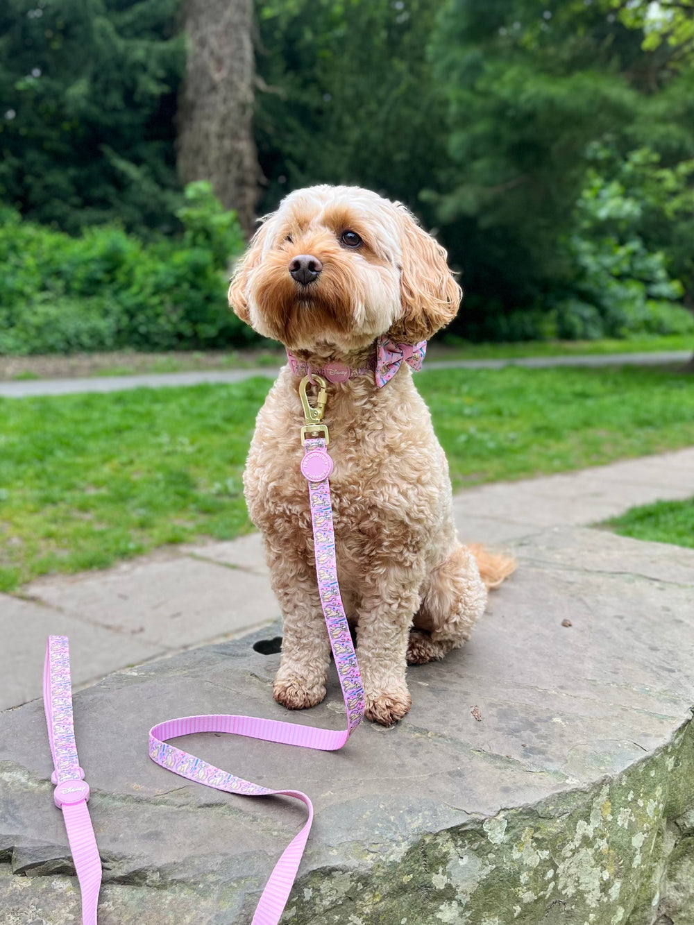 Disney© Lead - Nala