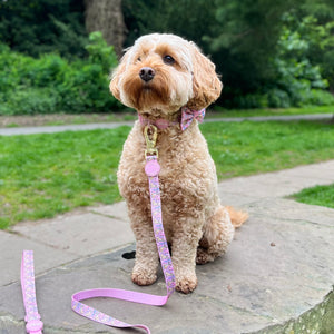 Disney© Lead - Nala