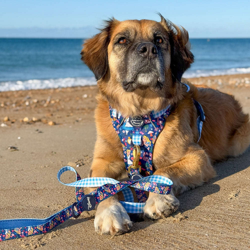 Disney© Lead - Alice In Wonderland