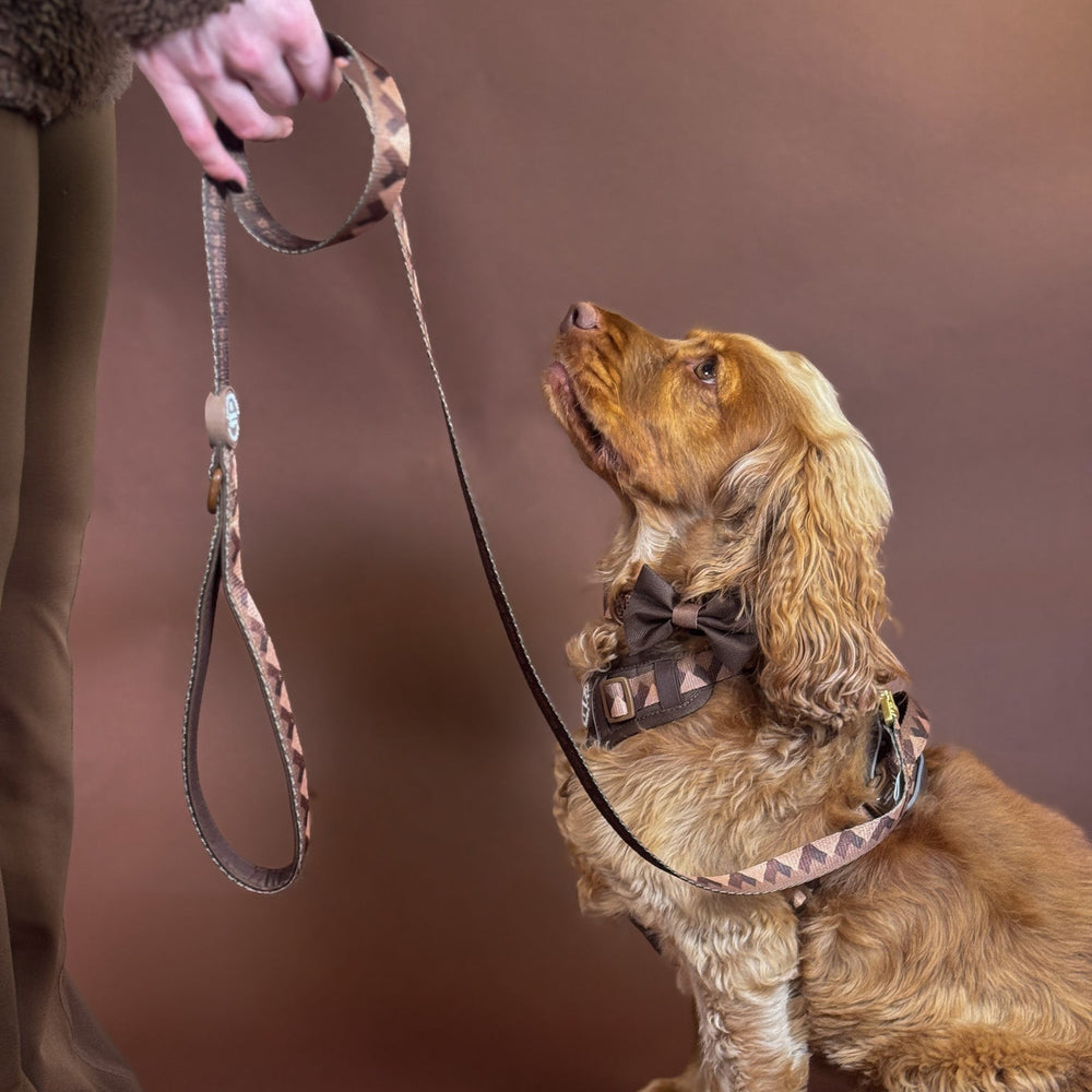 Lead - Walkies Ready® Chocolate Brown