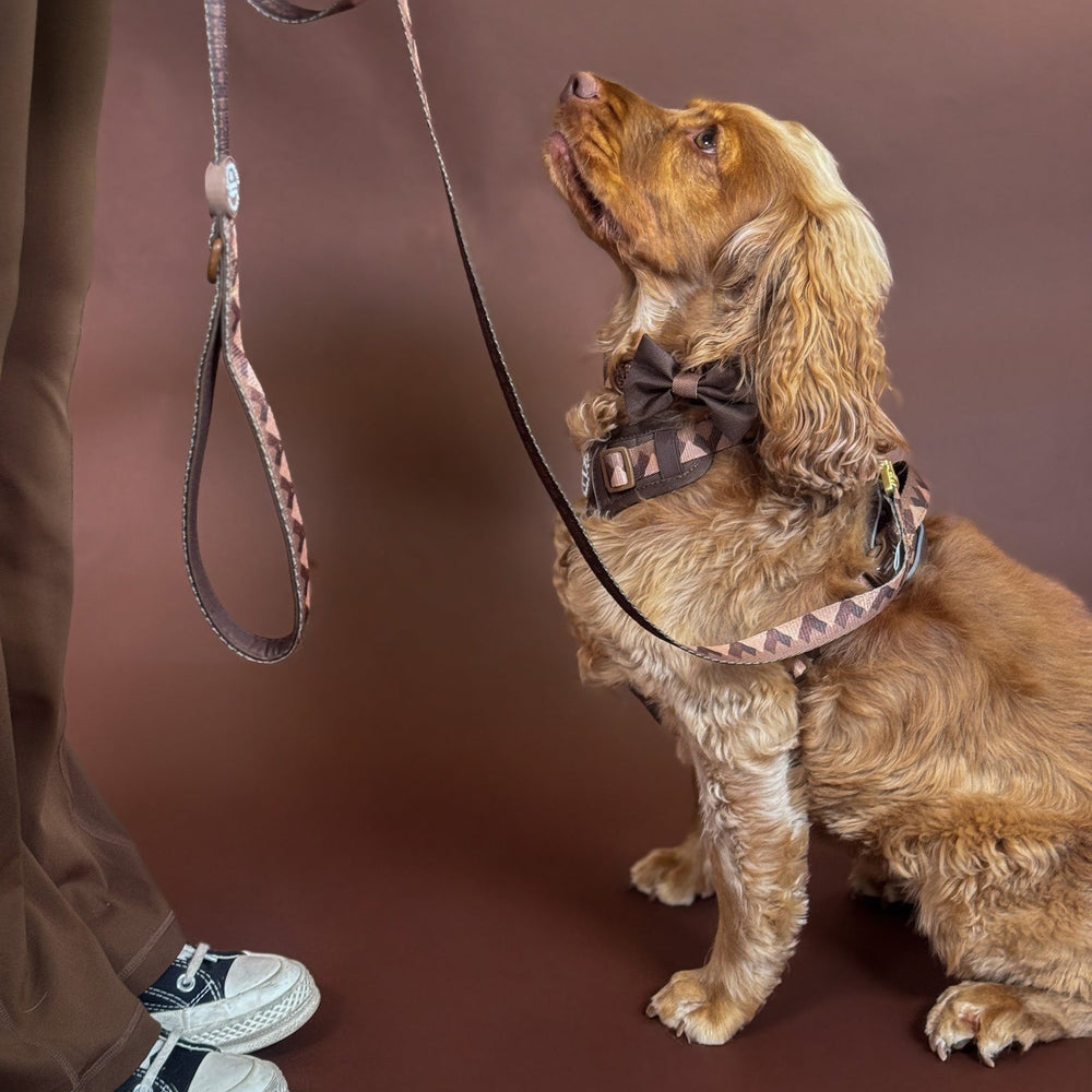 Bow Tie - Walkies Ready® - Chocolate Brown