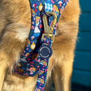 Disney© Lead - Alice In Wonderland