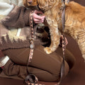 Lead - Walkies Ready® Chocolate Brown