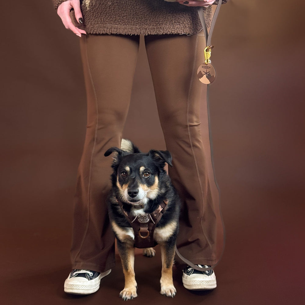 Pawsome Poop Pocket - Walkies Ready® - Chocolate Brown