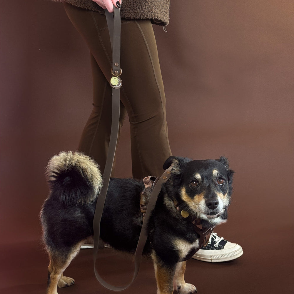 4ft Waterproof Lead - Walkies Ready® Chocolate Brown