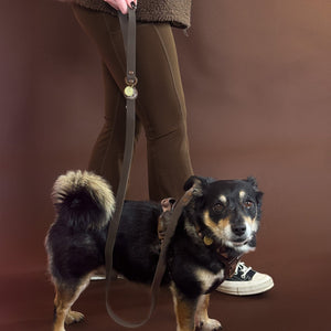 4ft Waterproof Lead - Walkies Ready® Chocolate Brown