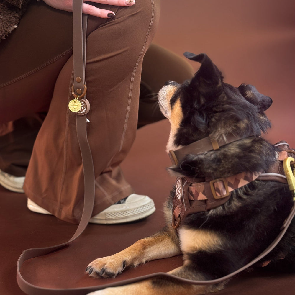 4ft Waterproof Lead - Walkies Ready® Chocolate Brown
