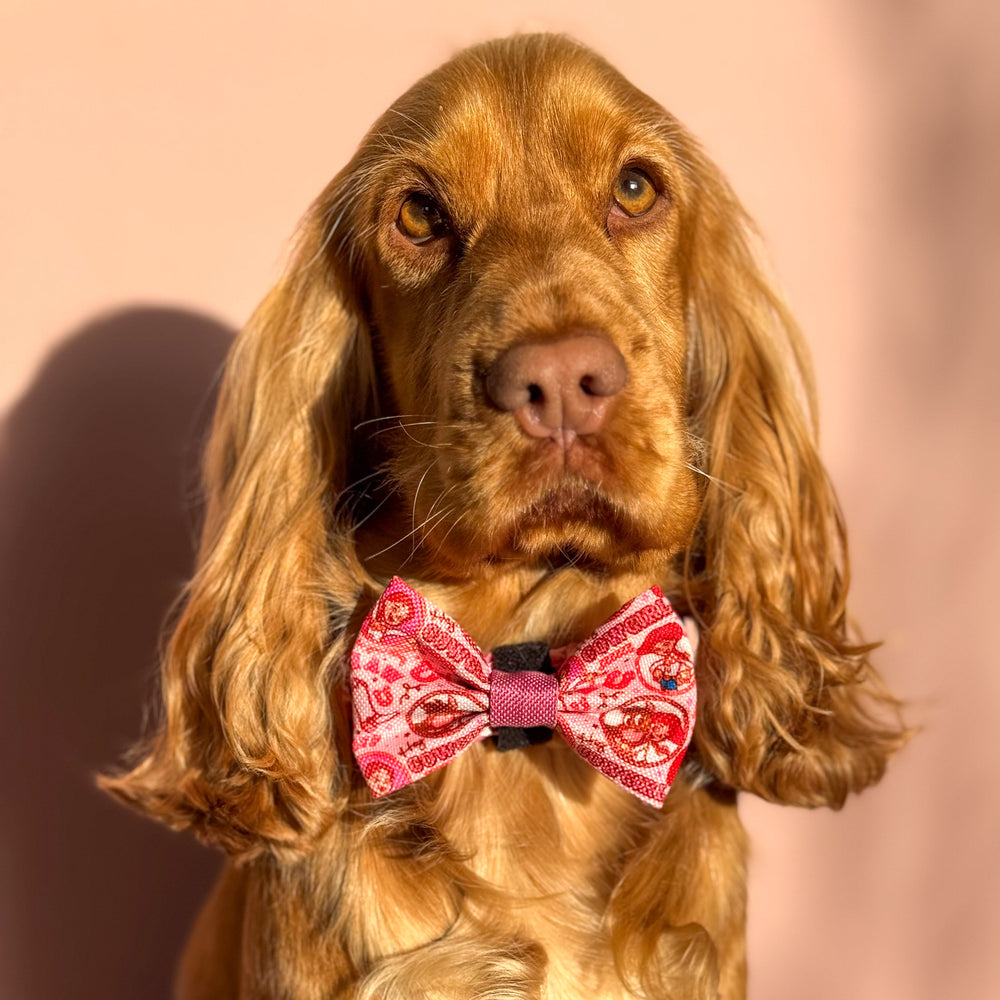 Disney© Bow Tie - Jessie