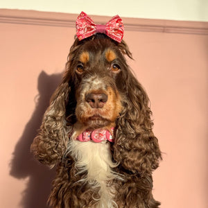 Disney© Bow Tie - Jessie