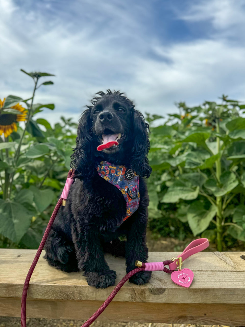 4ft Rope Lead - Mulberry