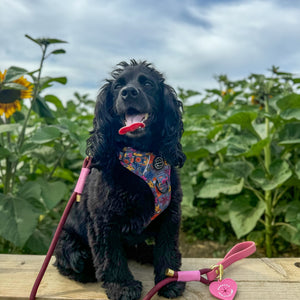 4ft Rope Lead - Mulberry