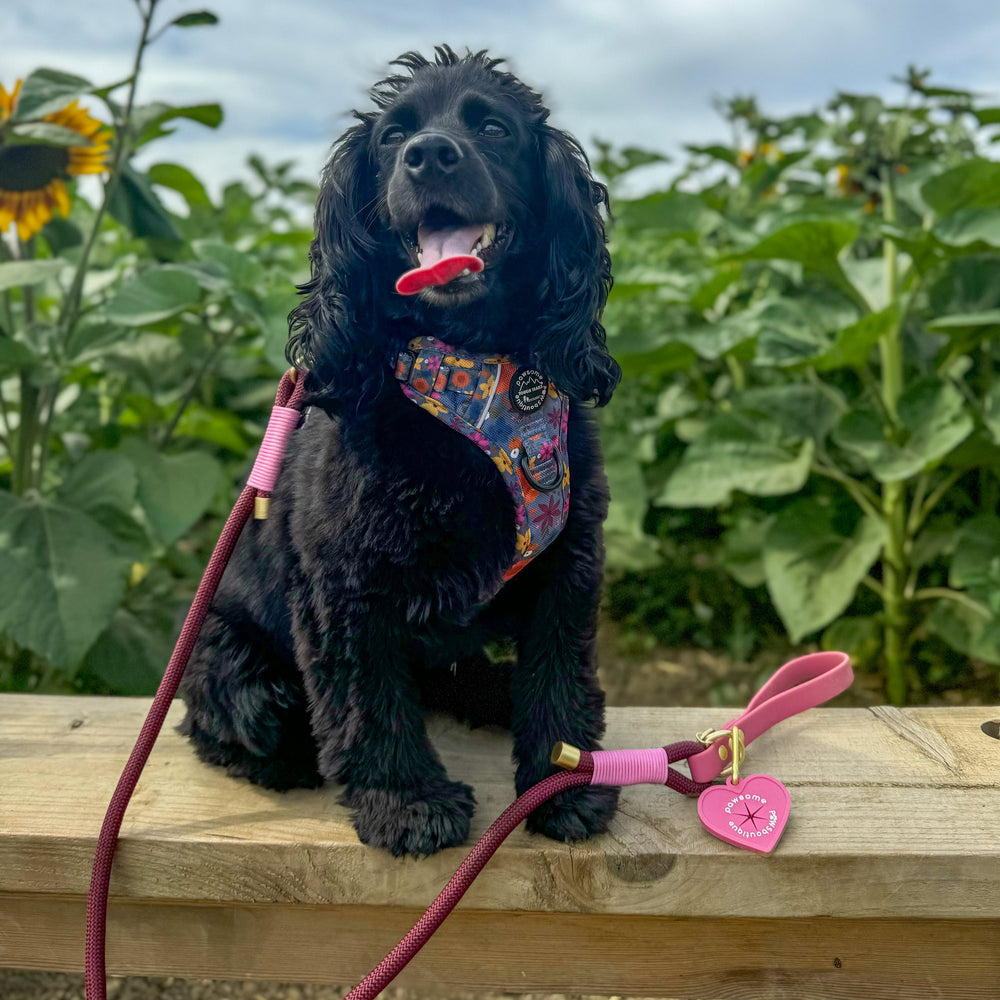 Pawsome Poop Pocket - Pretty Pink