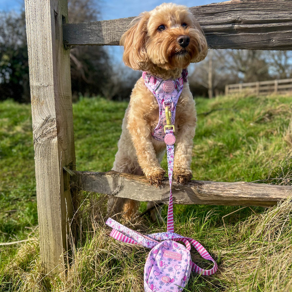 Disney© Lead - Piglet