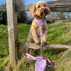 Disney© Lead - Piglet