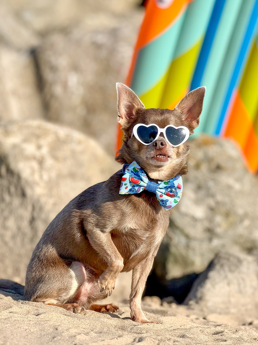 Disney© Bow Tie - Stitch's Fruit Fiesta