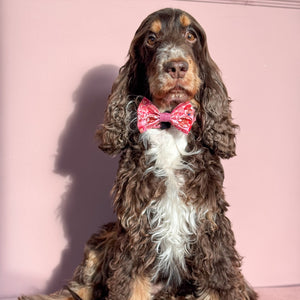 Disney© Bow Tie - Jessie