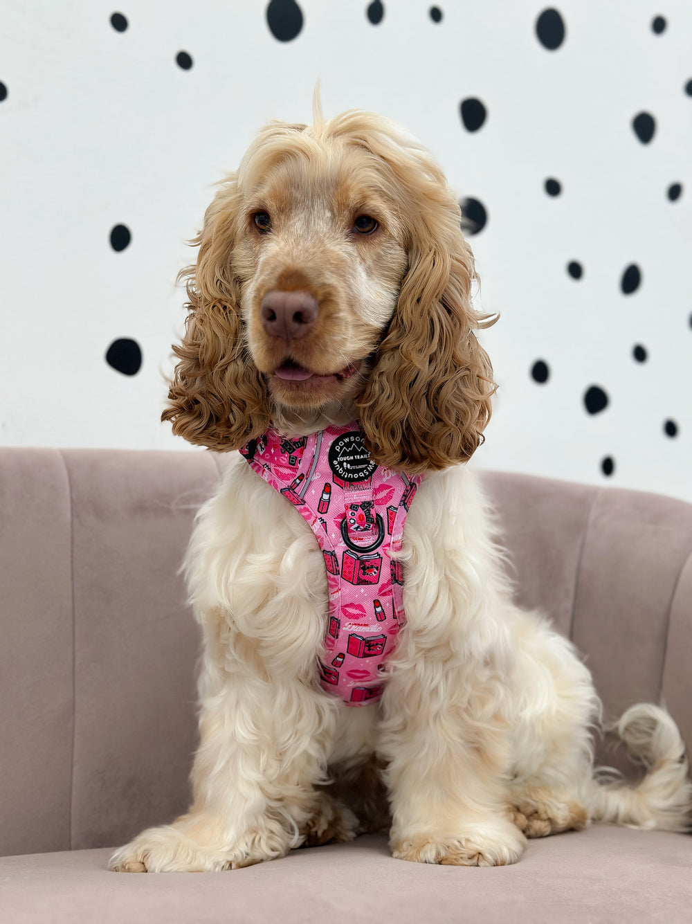 Tough Trails™ Harness - Mean Girls